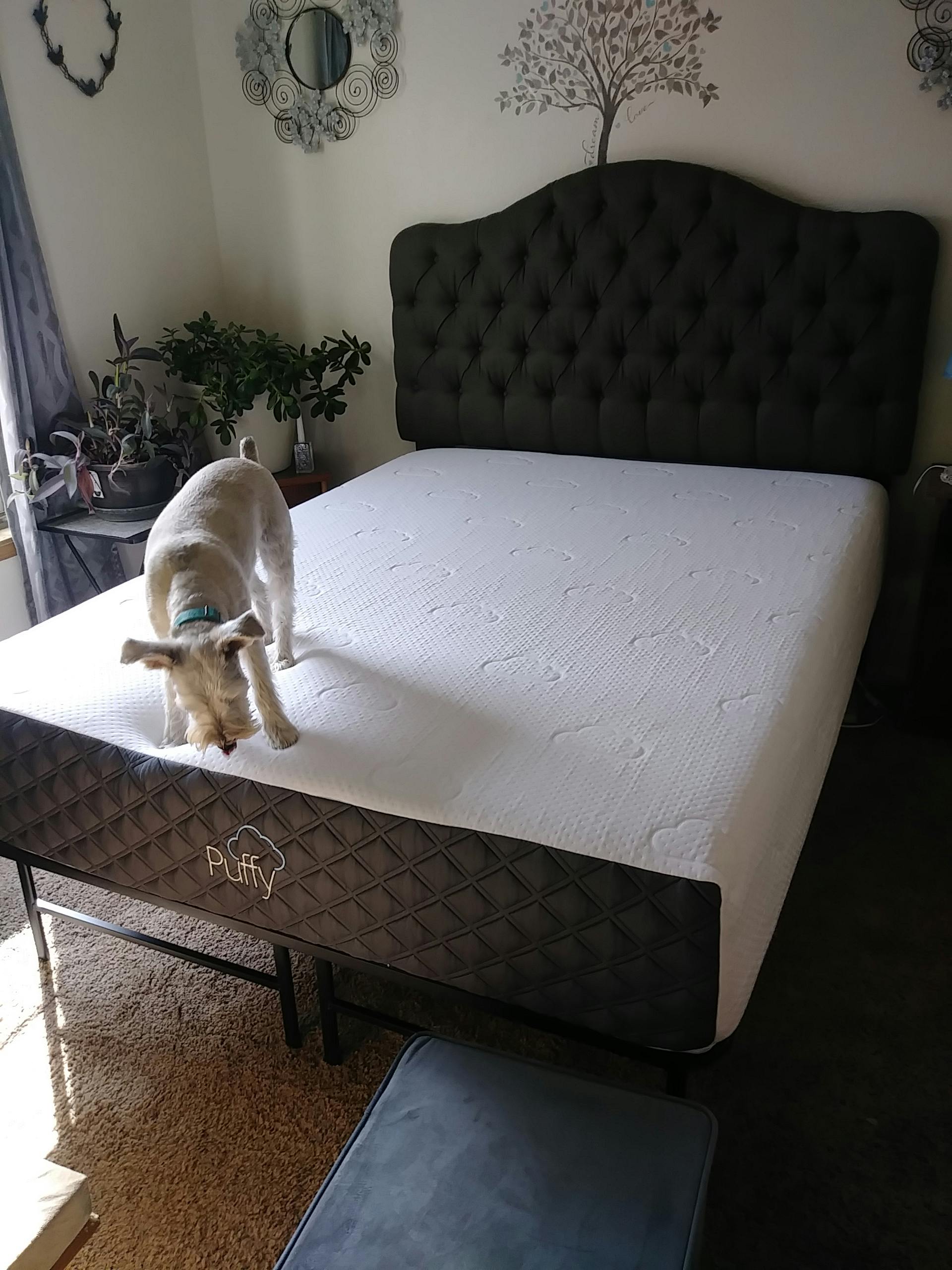 Puffy Mattress Foundation Puffy Mattress